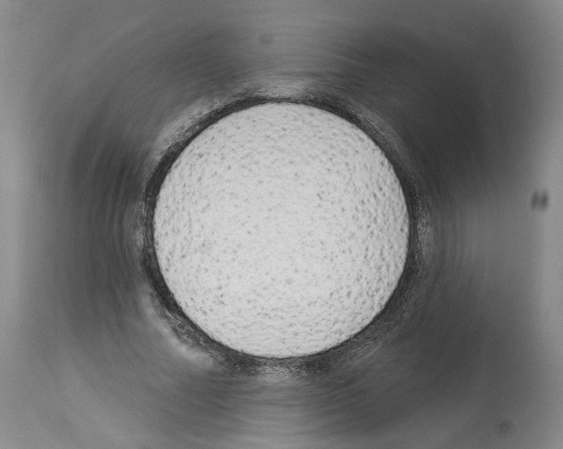 X0000113960682200911061326