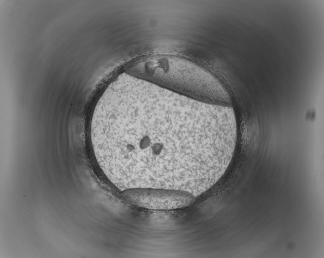 X0000113960684200911061326