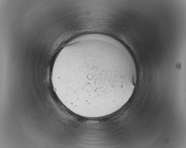 X0000113960685200911061326