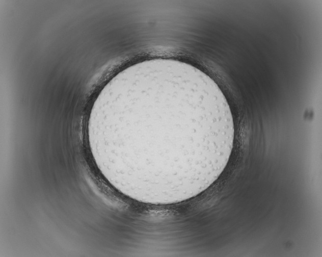 X0000113960686200911061326
