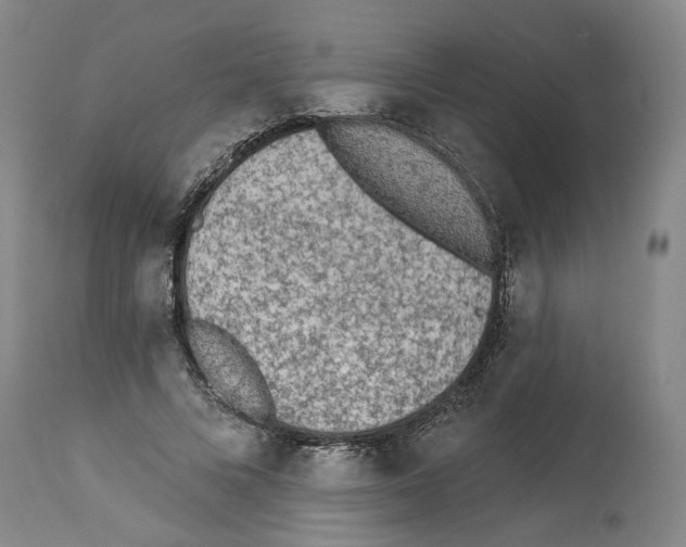 X0000113960688200911061326