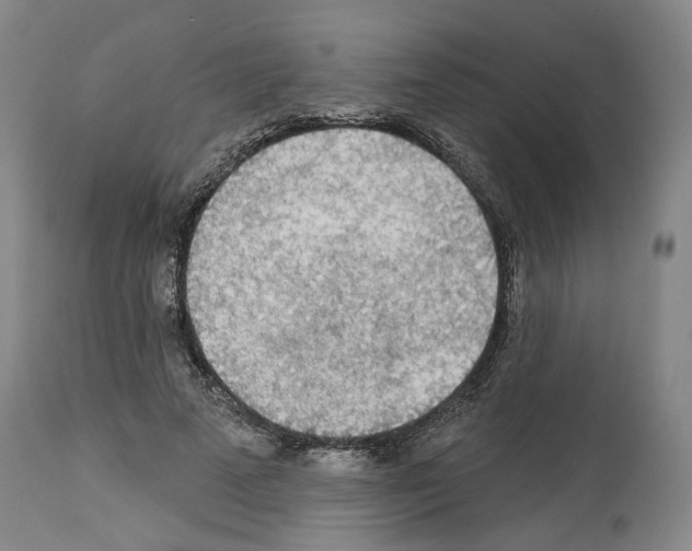 X0000113960689200911061326