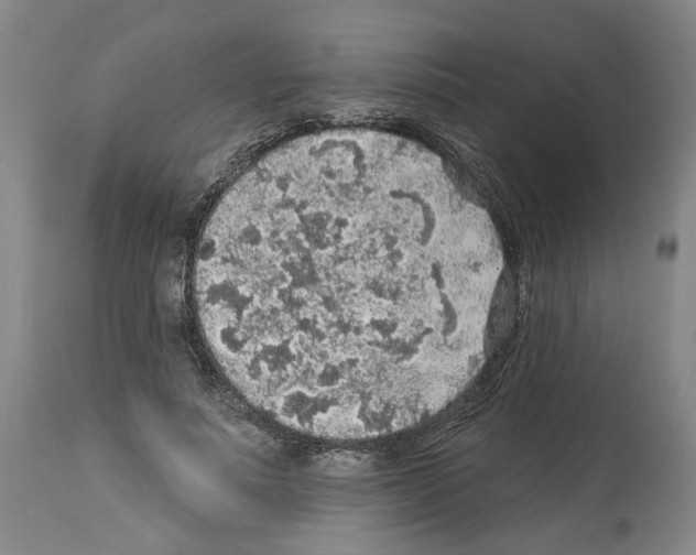X0000113960691200911061326