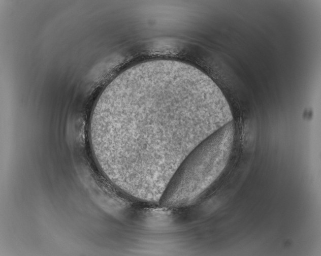 X0000113960692200911061326