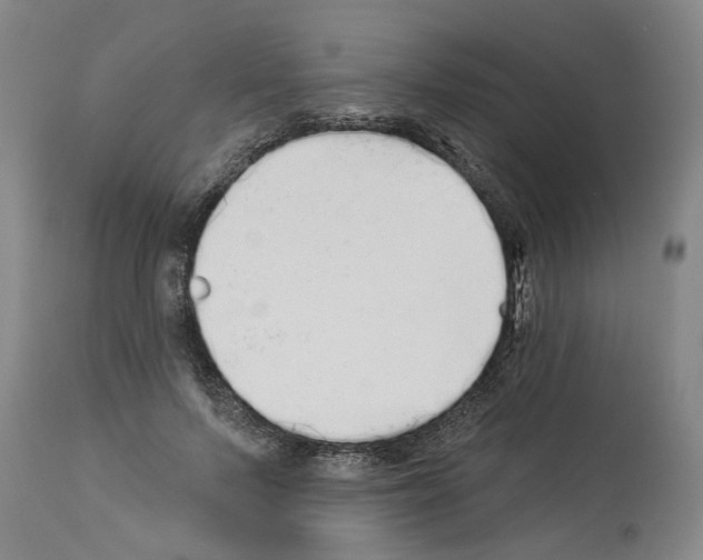 X0000113960695200911061326
