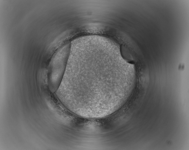 X0000113960696200911061326