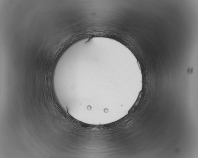 X0000113960697200911061326