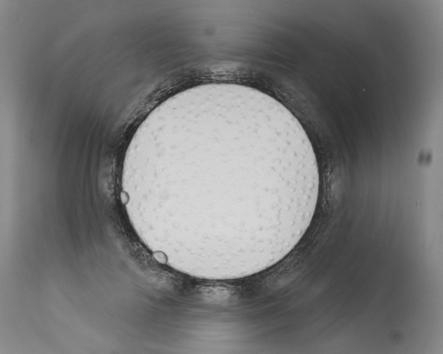 X0000113960698200911061326