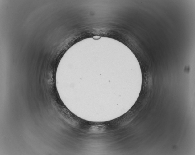 X0000113960700200911061326