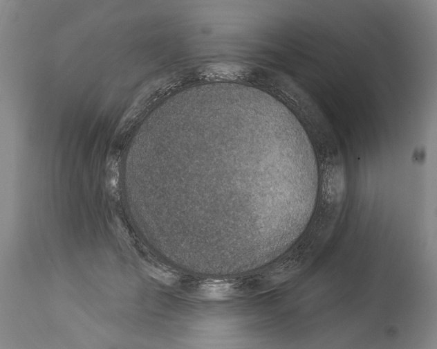 X0000113960701200911061326