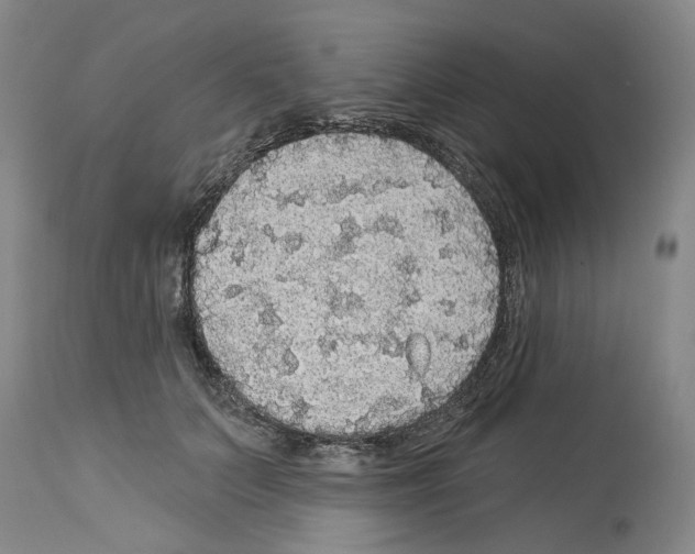 X0000113960703200911061326