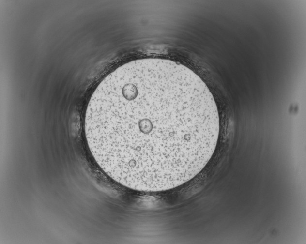 X0000113960704200911061326