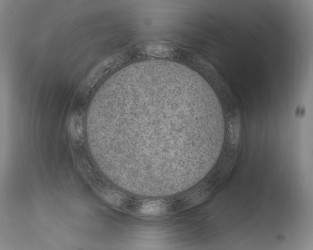 X0000113960705200911061326