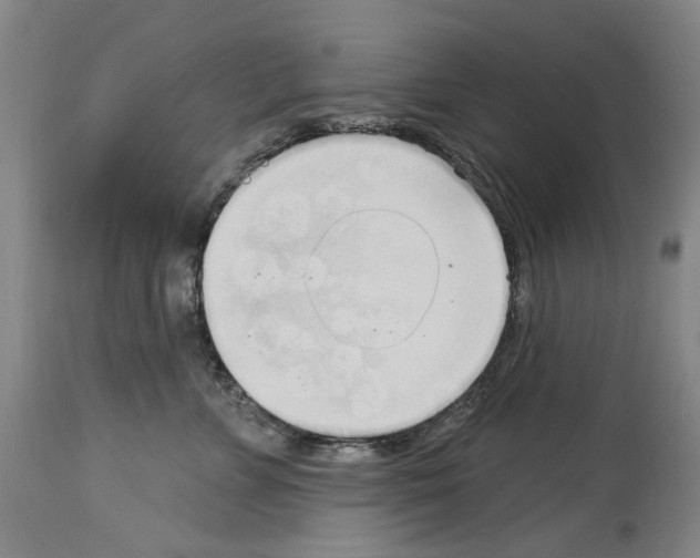 X0000113960715200911061326