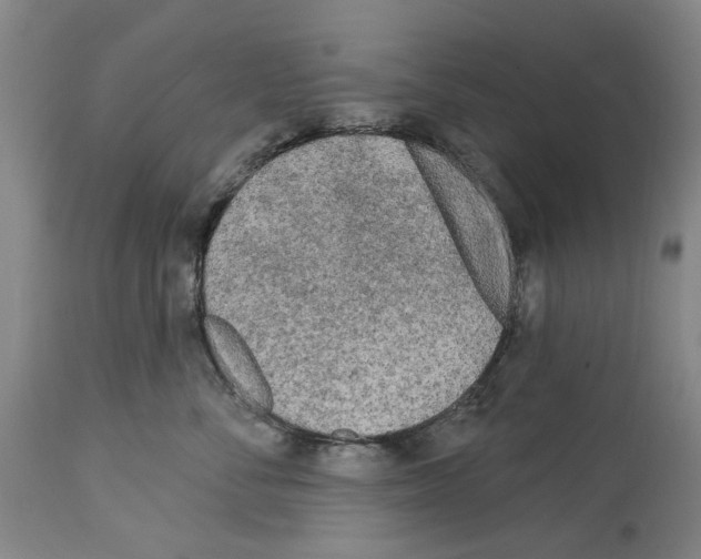 X0000113960716200911061326