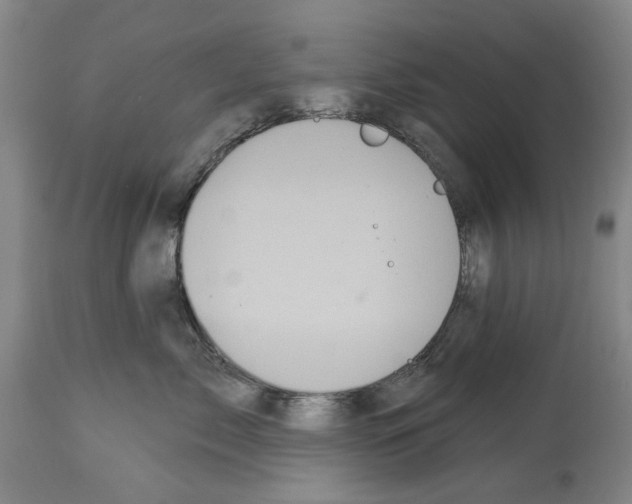 X0000113960717200911061325