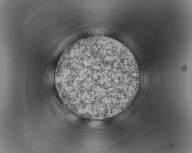 X0000113960718200911061325