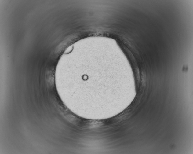 X0000113960719200911061325
