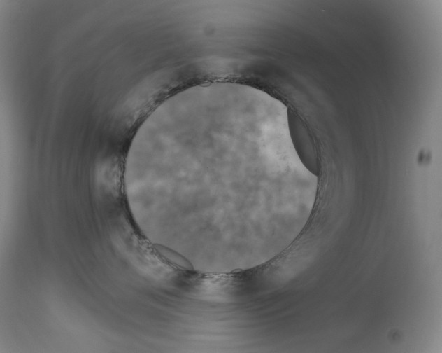 X0000113960720200911061325