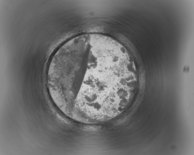 X0000113960721200911061325