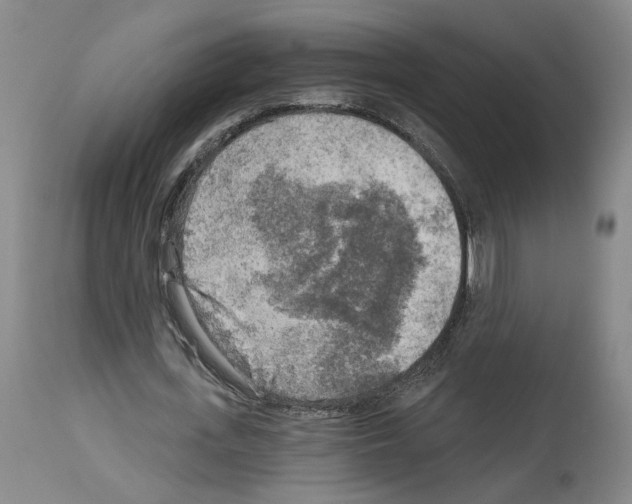 X0000113960723200911061325