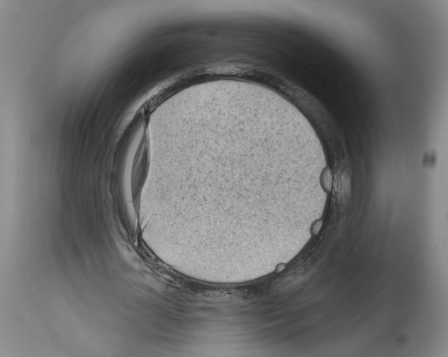 X0000113960724200911061325