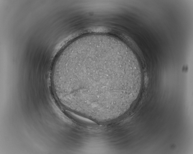 X0000113960725200911061325