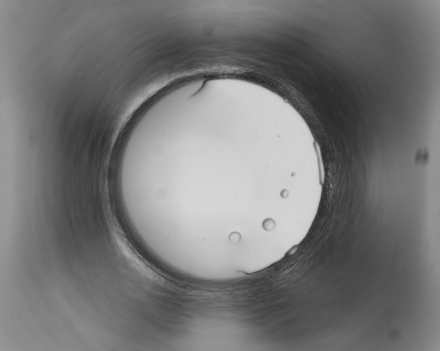X0000113960726200911061325