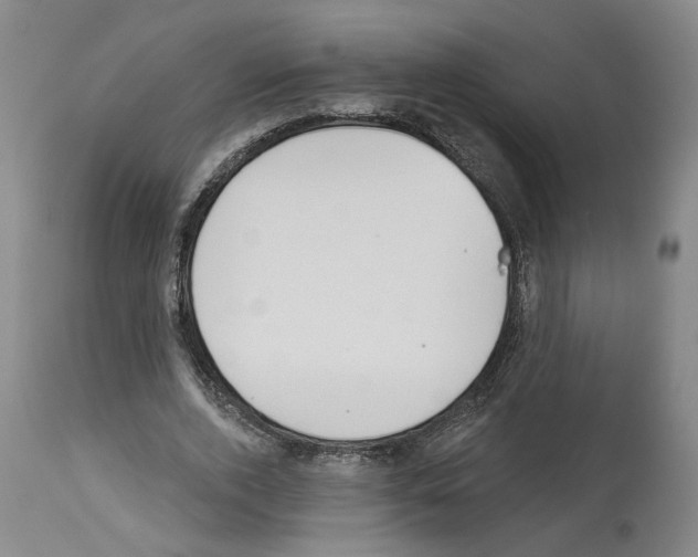 X0000113960728200911061325
