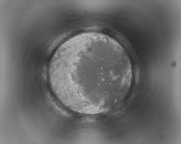 X0000113960729200911061325