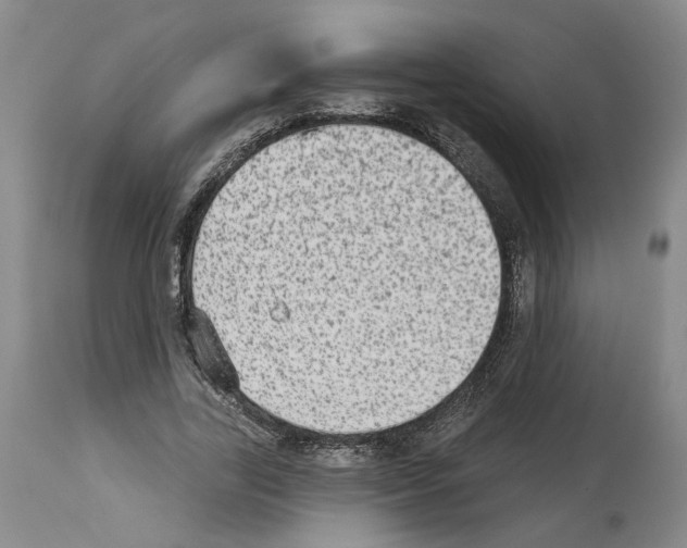 X0000113960731200911061325