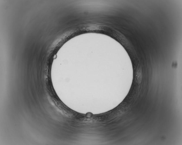 X0000113960732200911061325