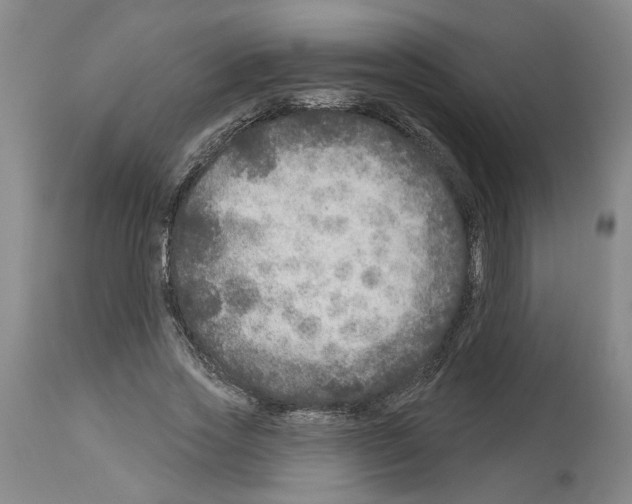 X0000113960733200911061325