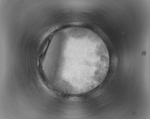 X0000113960734200911061325