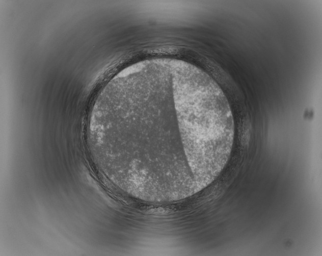 X0000113960735200911061325