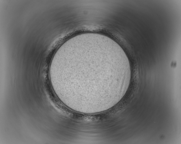 X0000113960736200911061325