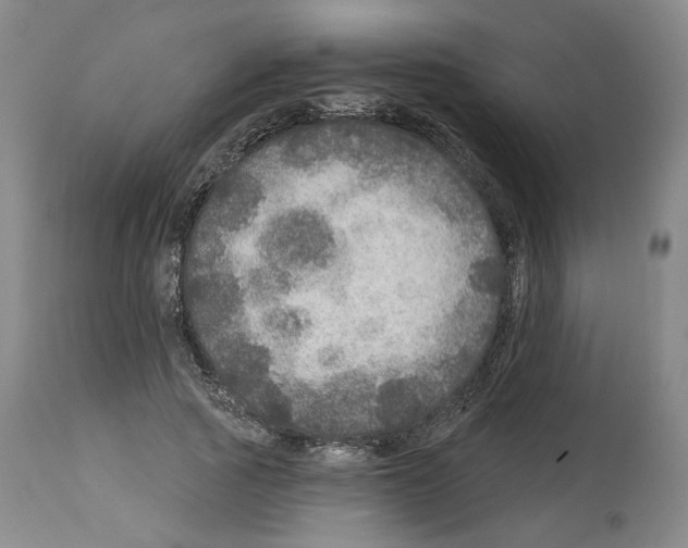 X0000113960737200911061325
