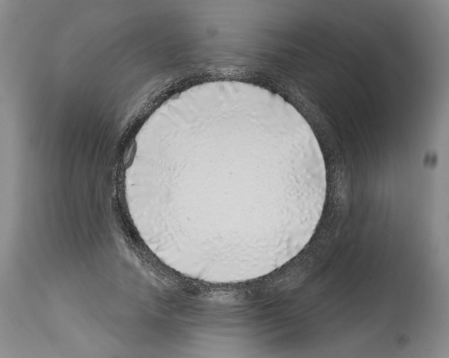 X0000113960738200911061325