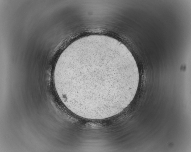 X0000113960739200911061325