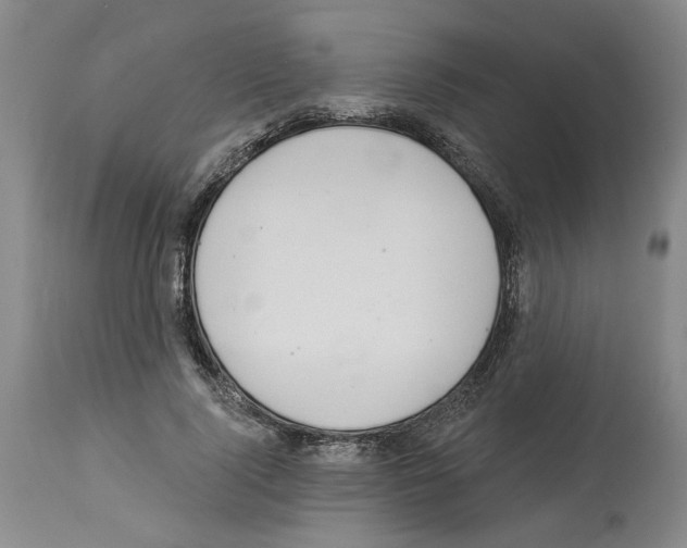 X0000113960740200911061325