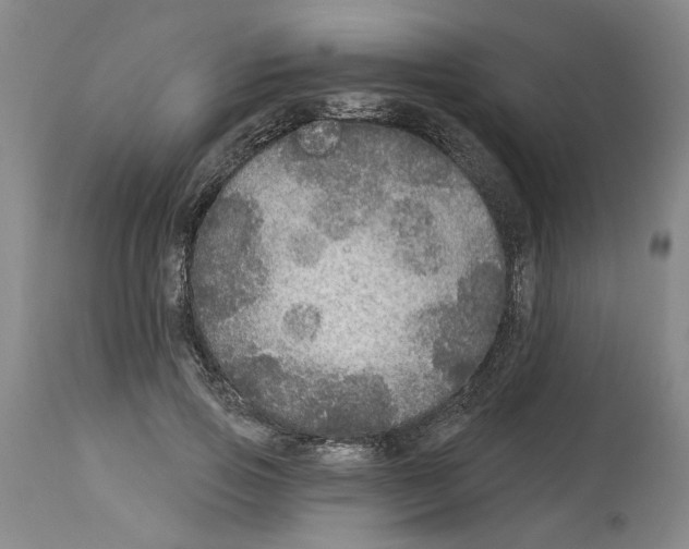 X0000113960741200911061325
