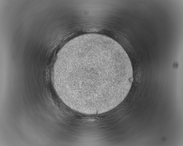 X0000113960743200911061325
