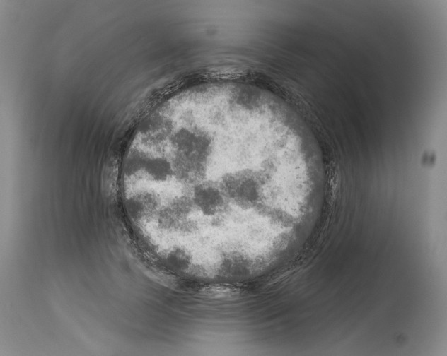 X0000113960745200911061325