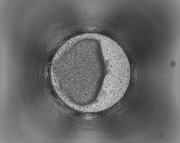 X0000113960746200911061325