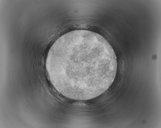 X0000113960747200911061325