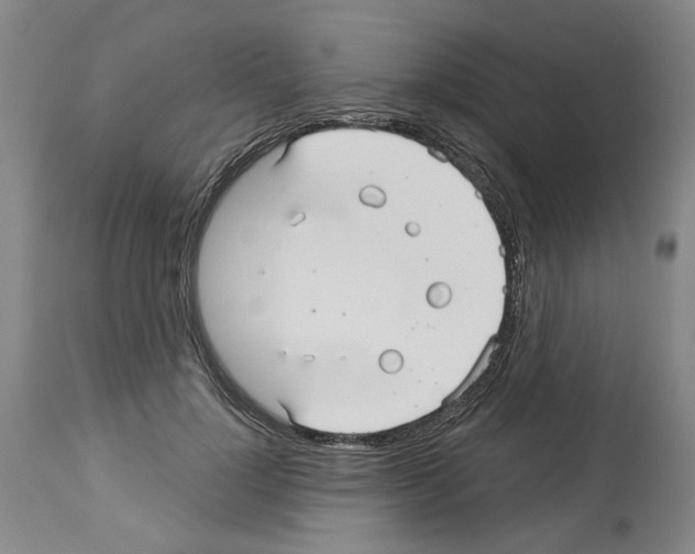 X0000113960748200911061325