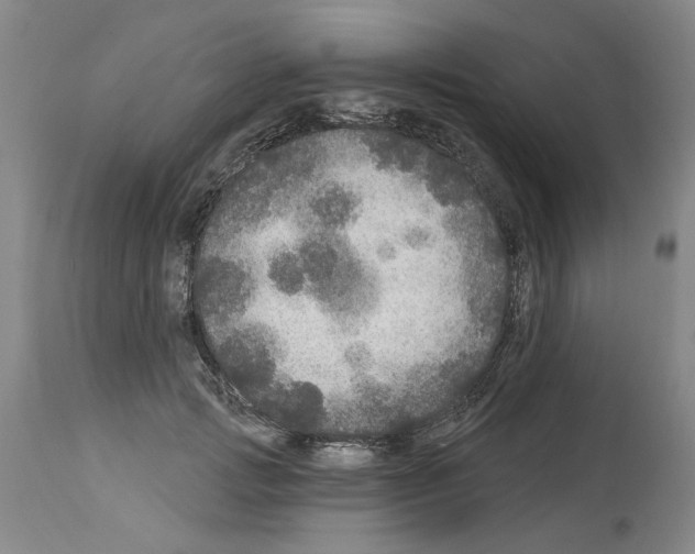 X0000113960749200911061325