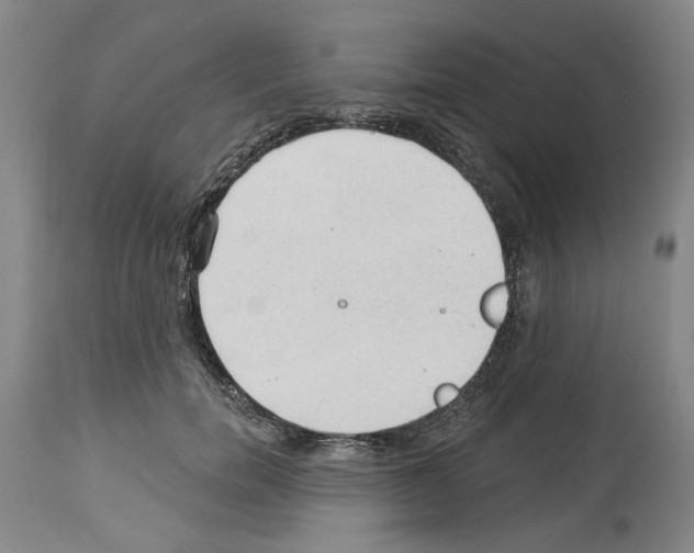 X0000113960750200911061325