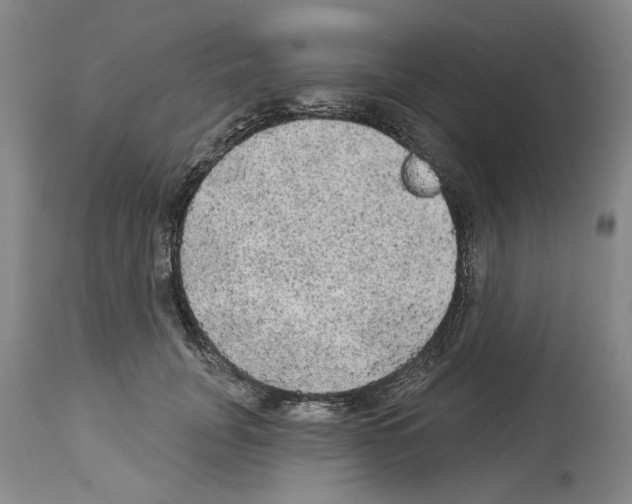 X0000113960751200911061325