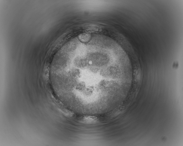 X0000113960753200911061325